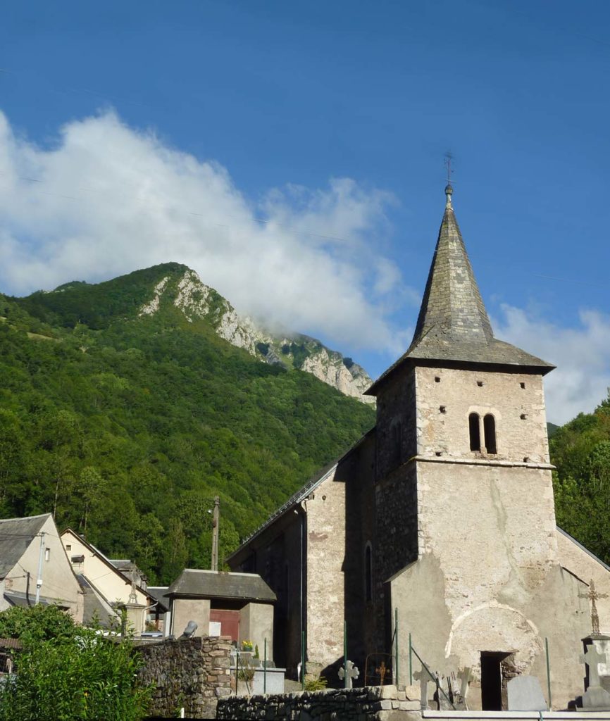 Camous dans les Pyrénées